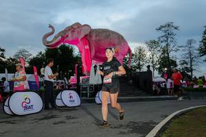 BIB: 
                            <button type="button" onclick="openModal(26529486)" class="btn btn-primary btn-sm float-right btn-popup" data-toggle="modal" data-target=".modal-high-quality">
                        <i class="fas fa-shopping-cart"></i> Add to Cart
                    </button>
                                            <button type="button" onclick="isThisMe(26529486, true)" class="btn btn-success btn-sm float-right btn-popup btn-isme hidden" data-toggle="tooltip" data-placement="bottom" title="นี่คือรูปของคุณใช่ไหม คลิกที่นี่เพื่อเอาเข้าอัลบั้ม">
                        <i class="fas fa-plus"></i> Add to album
                    </button>
                    <button type="button" onclick="isThisMe(26529486, false)" class="btn btn-warning btn-sm float-right btn-popup btn-isnotme hidden">
                        <i class="fas fa-ban"></i> Remove from album
                    </button>